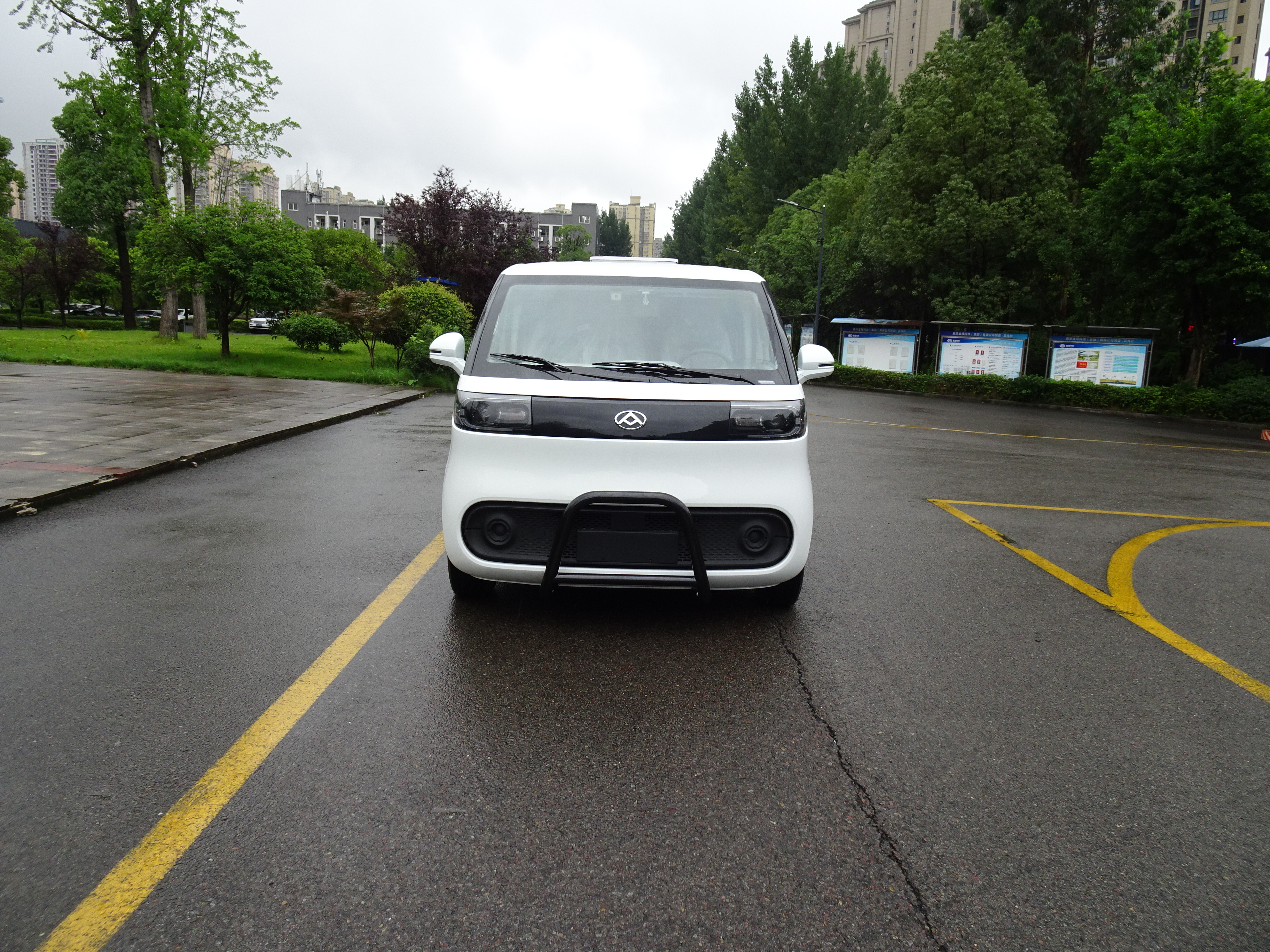 MAXUS（DaNa V1)-Pure Electric